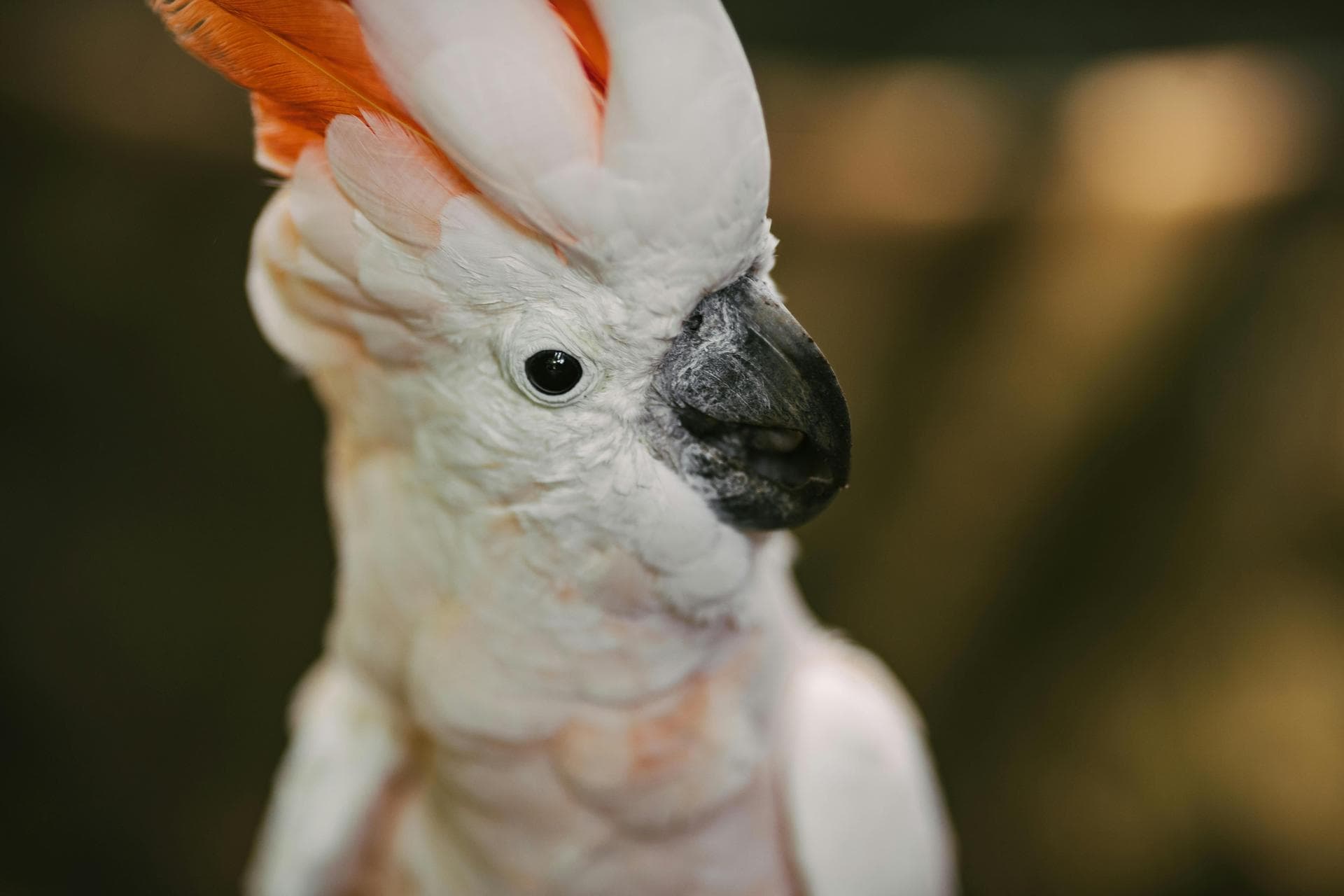 Farm & Large-Animal Vets near Bradford